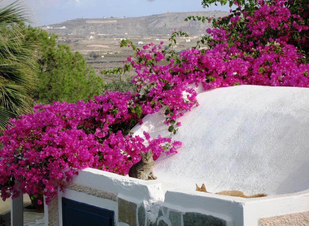 Paradise Resort Akrotírion Dış mekan fotoğraf