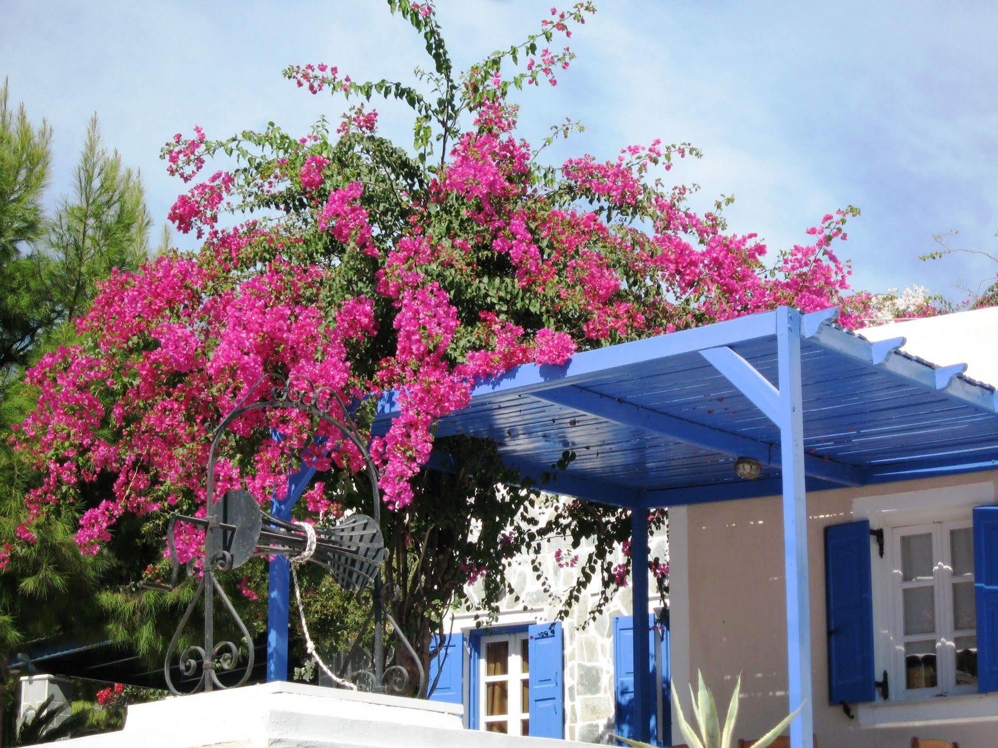 Paradise Resort Akrotírion Dış mekan fotoğraf